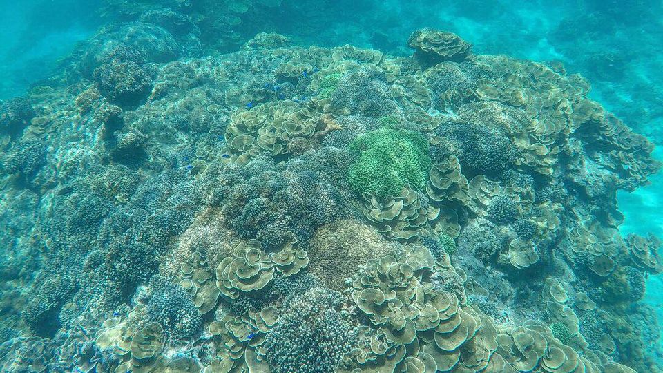 澎湖旅遊-南方四島浮潛